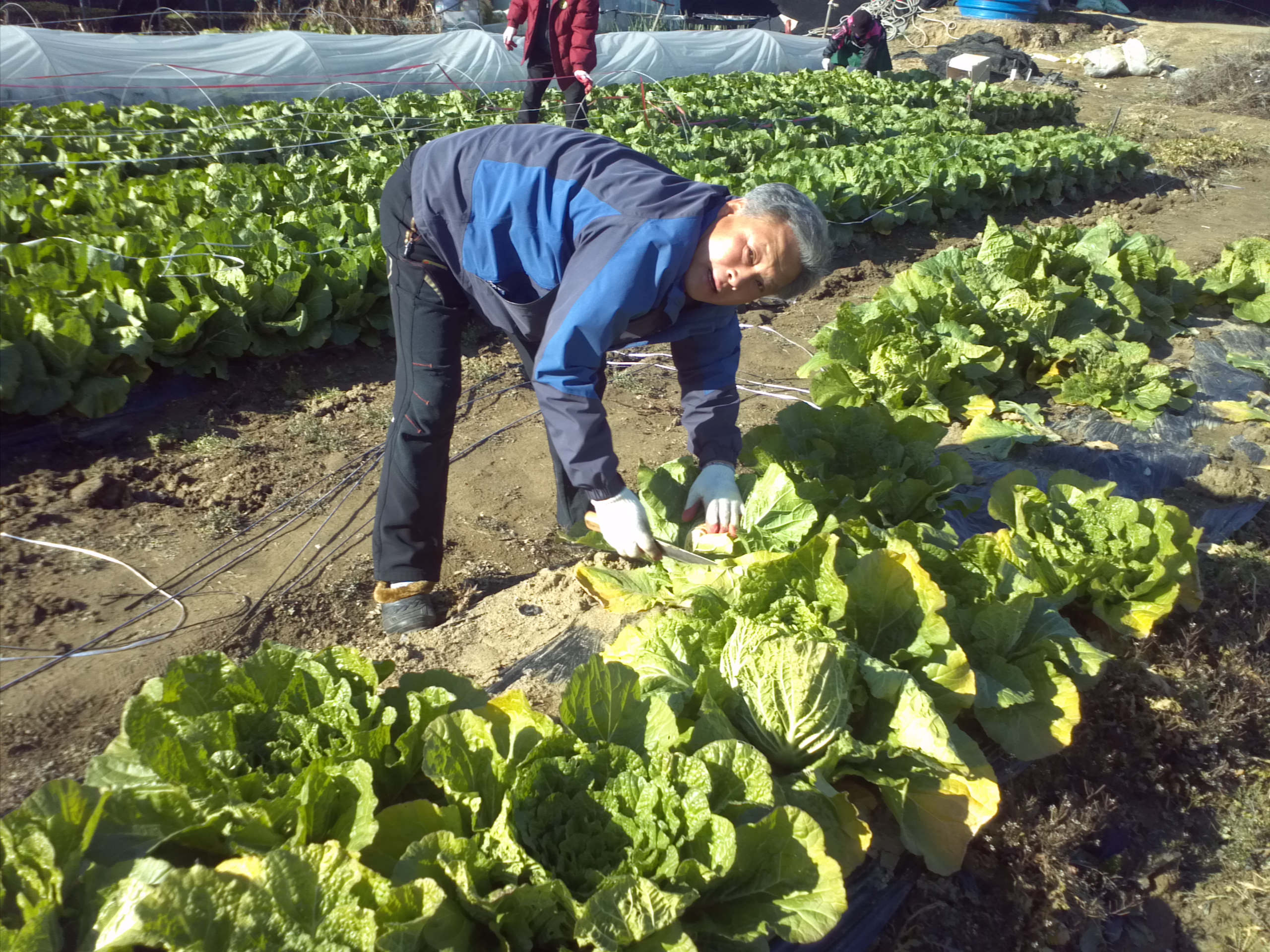 2012년 성남동 사랑..