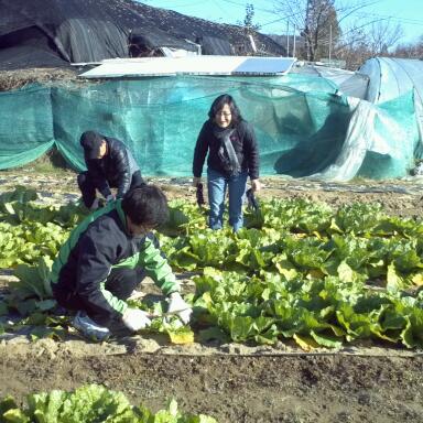 2012년 성남동 사랑..